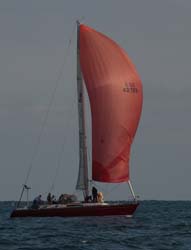 9U5B2375