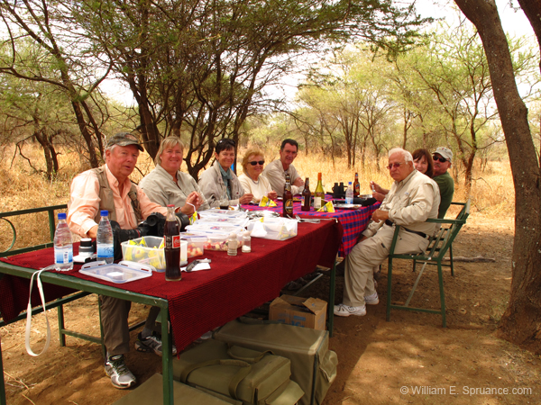 154-Picnic Lunch G11-3012