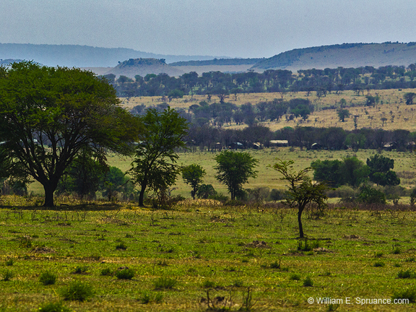 422-African Landscape  6J8E0235