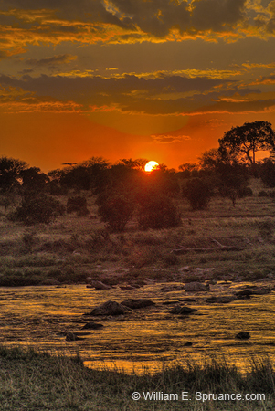 429-African Sunset  6J8E0298