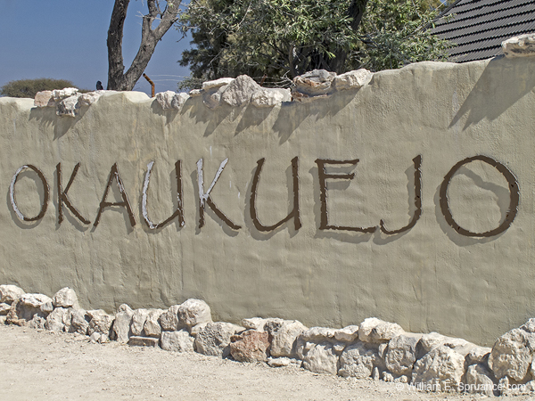 455-Return to Okaukuejo Camp  G11-0746