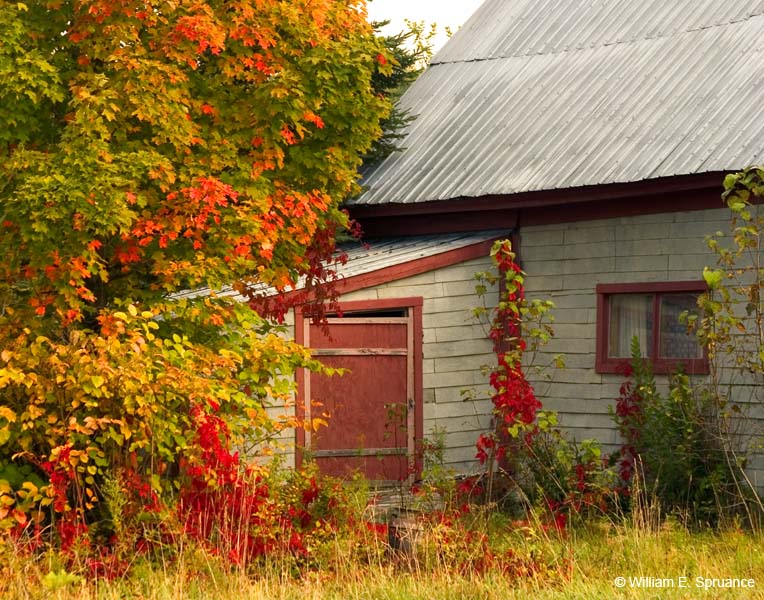 Vermont-5469