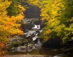 Foliage-Falls-8-5403