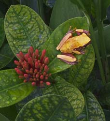 0276-IMG_4341