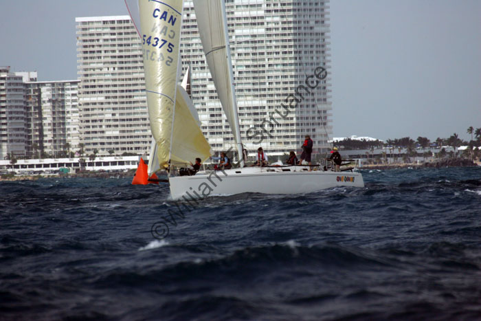 MG7A6481