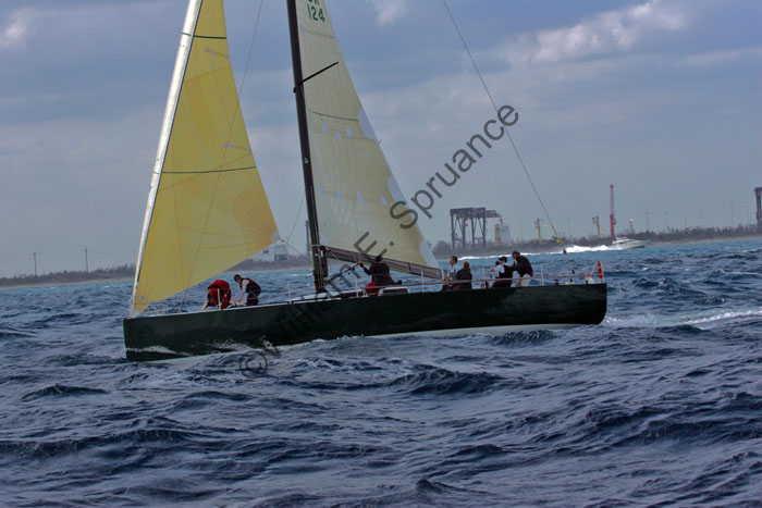 MG7A6497