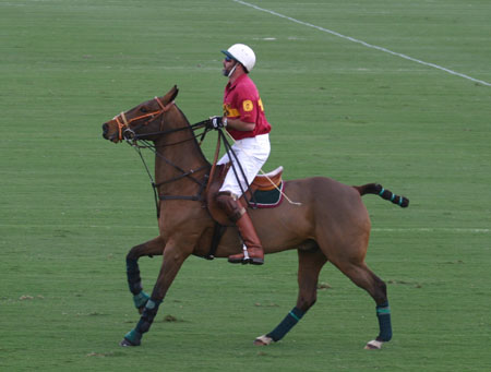 Polo-3072