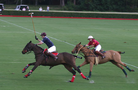 Polo-3074
