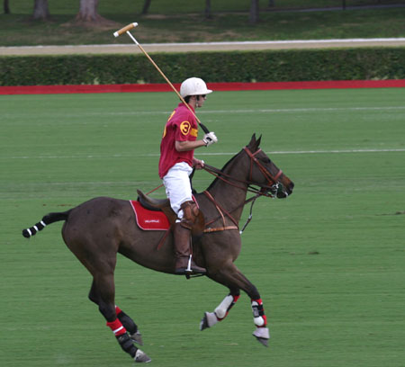 Polo-3076
