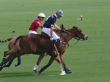Polo-3082