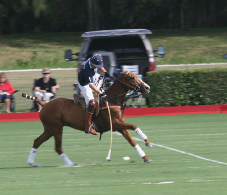 Polo-3087