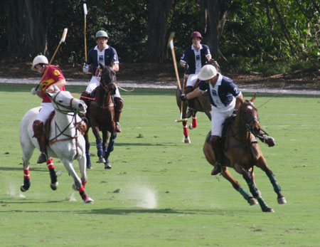 Polo-3108