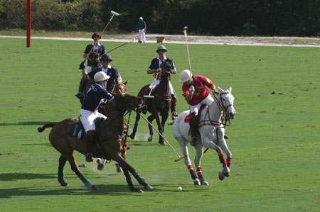 Polo-3110