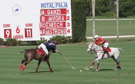 Polo-3112