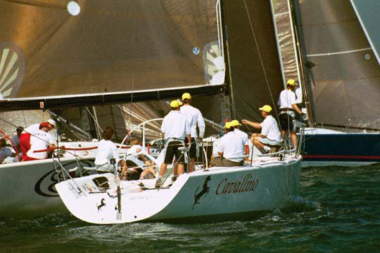 494-1