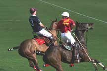 Royal Palm Polo Boca Raton FL